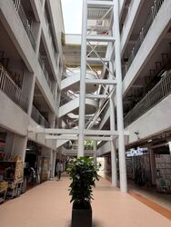 Bras Basah Complex (D7), Office #613751921